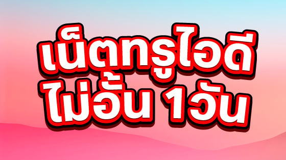 เน็ต 1GB 1 วัน