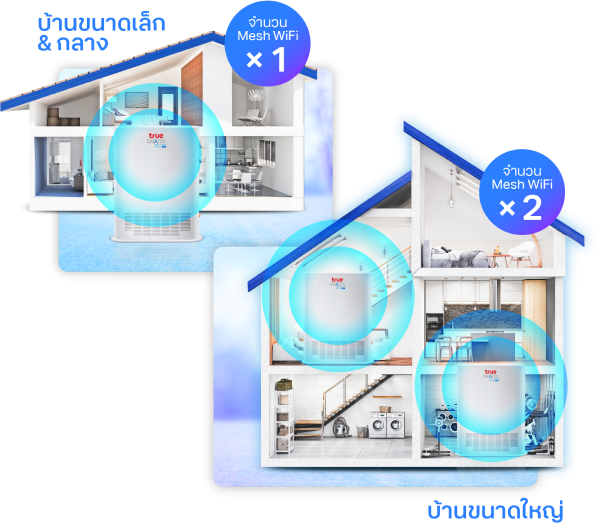 Mesh WiFi Feature